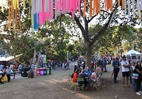Fringe Festival