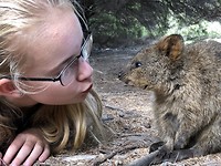 Quokka’s at Rottnest Island