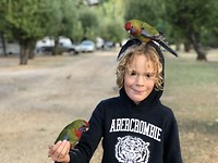 The birdman
