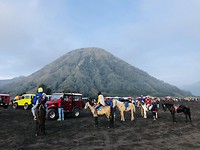Local traffic @ Bromo Vulcano