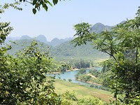 1000 shades of green