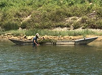 Getting waterplants for his cattle