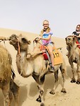 Camelriding, bit different than horse riding
