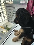 9th floor, a first for everything! (Manchester, MediaCity)