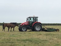 Horse power