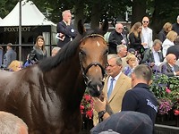 Racing day Newmarket