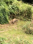 Our London neighbour
