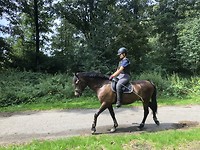 The best pony is your own pony