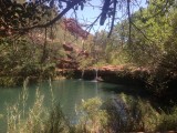 17. Fern Pool
