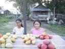 Mango's