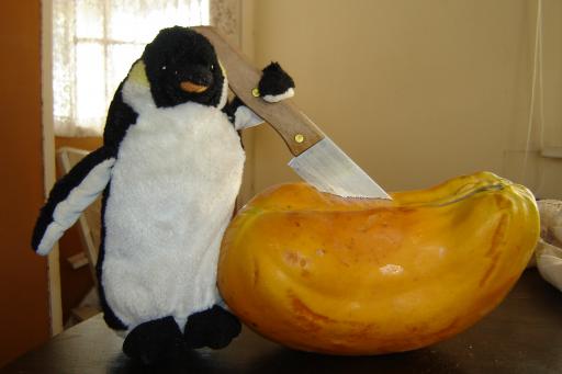 Papaya