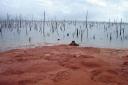 Stuwmeer