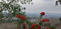 The view from home