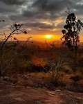 South African Sunrise