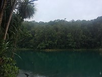 IMG_5311