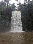 IMG_5338