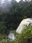 IMG_5344