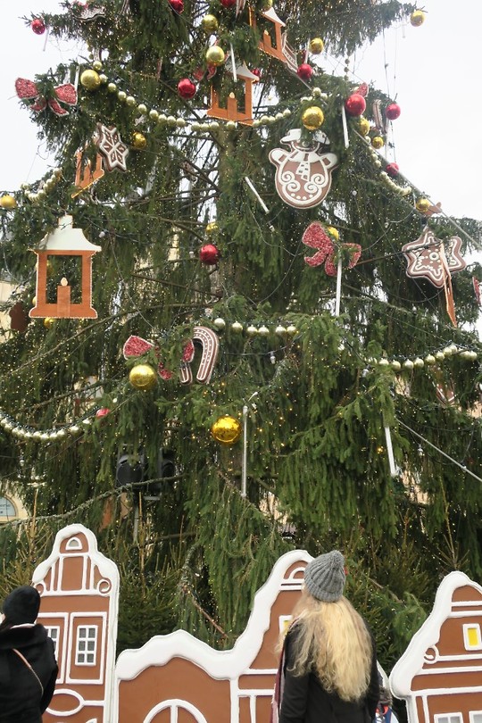 Kerstboom