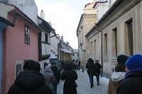 IMG_2161