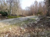 Bovenste bos tussen Epen en Teuven.