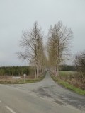Mooi laantje buiten Signy l'Abbaye.
