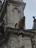 Spuwer kathedraal.