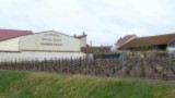 Eerste champagne wijnveld in Trois-Puits.