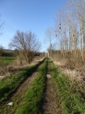 Prachtige landweg bij Baye.