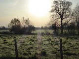 Weiland buiten Augy-sur-Aubois.