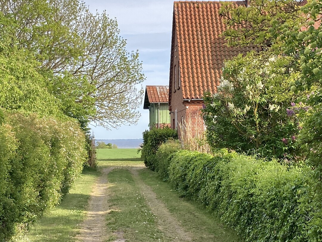 Doorkijkjes op Fejø