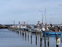 Haven van Bagenkop