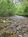 Bergen stenen in het bos
