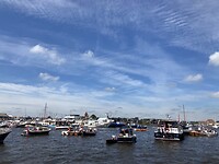Gekte in Grou