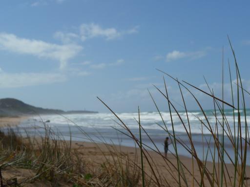 Uitzicht langs de Great Ocean Road