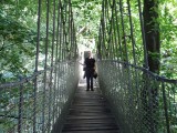 Op de brug bij Treehouse