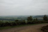 Hulne Park
