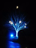 Alnwick Garden