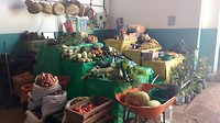 IMG_20171115_084901679