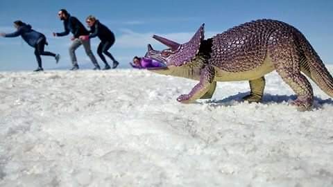 Run! Run while we can