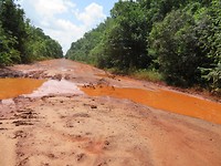De hoofdweg van Guyana