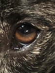 Close-up van mijn oog