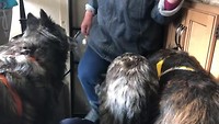 Ook in een grote camper blijft het gedoe