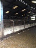 The cubicles