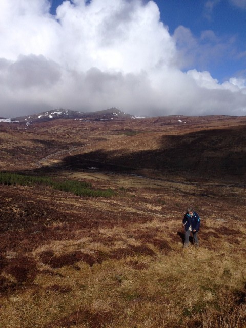 Mother dear climbing the hill
