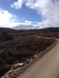 One of our many walks