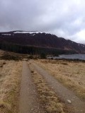 Our last and best walk
