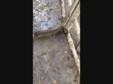 The Scraper!