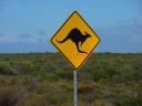 Australisch verkeersbordje 1