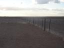 Dingo fence