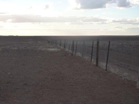 Dingo fence